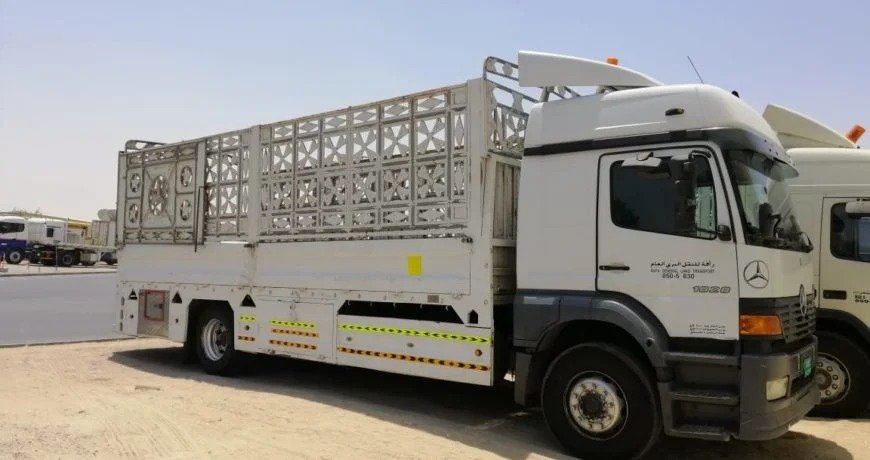 whatsappimage2025 08 28at17.08.02 41e01a40